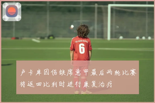 卢卡库因伤缺席意甲最后两轮比赛将返回比利时进行康复治疗